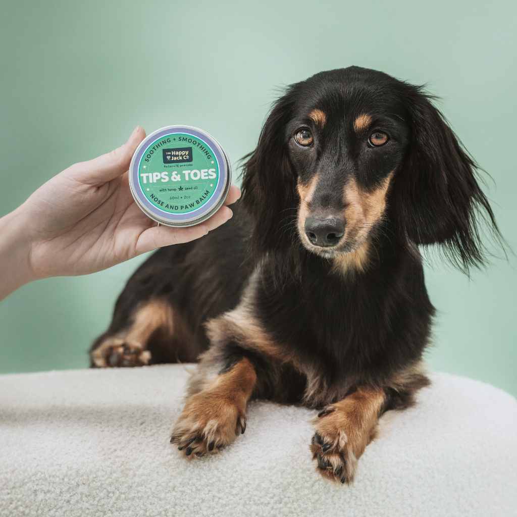 Pawlisse Luxury Pet Balm